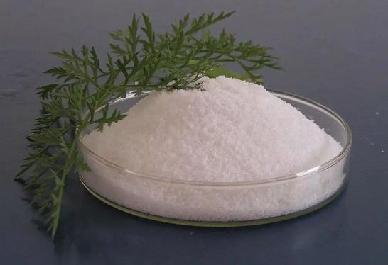 What is creatine monohydrate?